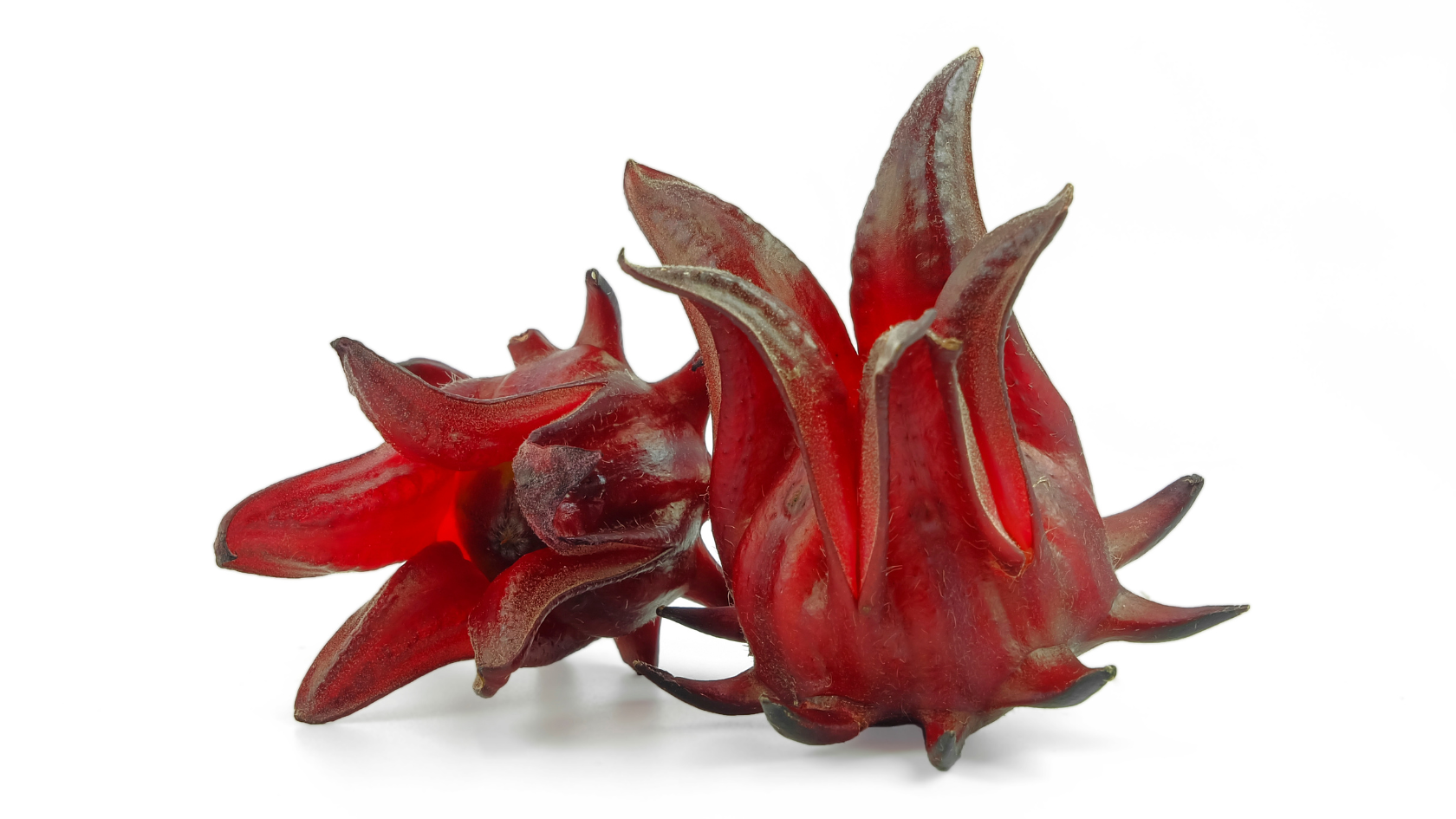 Fresh hibiscus flowers and zobo ingredients